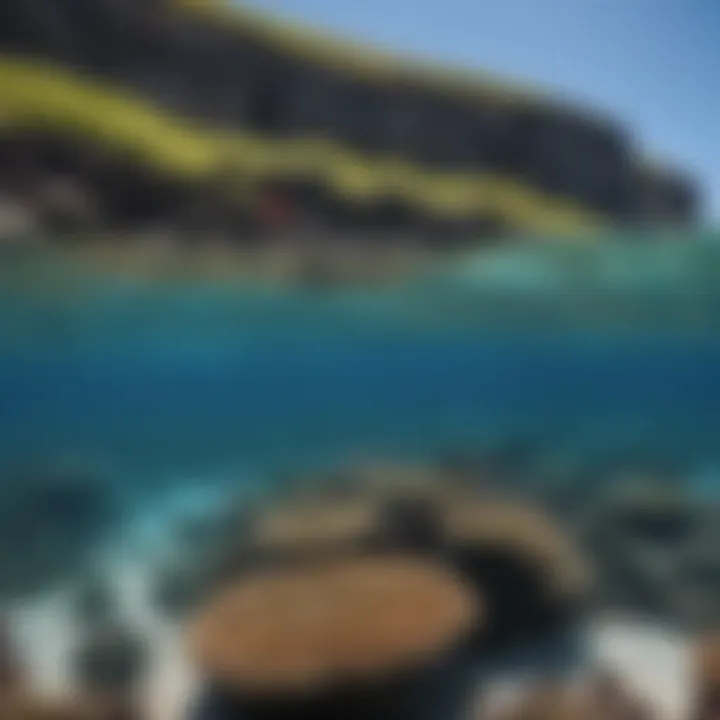 Crystal clear waters and coral reefs of Molokini Crater, Hawaii