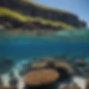 Molokini Crater Coral Reefs Crystal clear waters and coral reefs of Molokini Crater, Hawaii