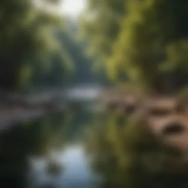 Cutting-Edge UV Disinfection System for Clean River Water