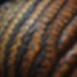 A close-up view of a python's scales showcasing intricate patterns.