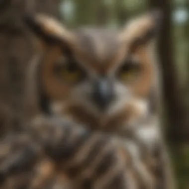 Illustration showcasing diverse prey of great horned owls
