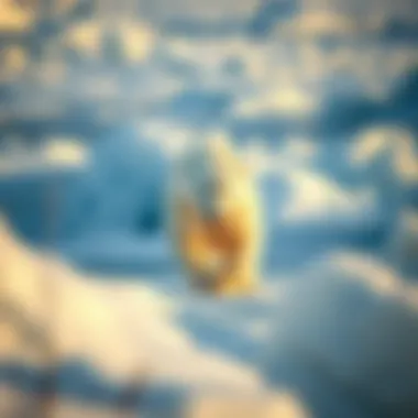 Polar Bear in Its Habitat A polar bear navigating through icy landscapes