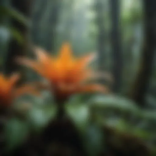 Vibrant flora of the tropical rainforest featuring diverse plant species