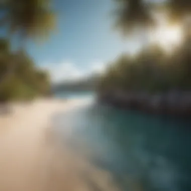 A serene beach with crystal clear waters and palm trees