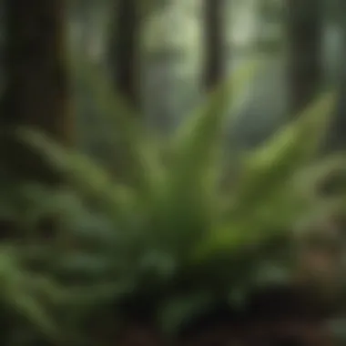Ferns: The Ancient Green Wonders A variety of ferns showcasing their unique forms