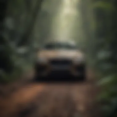 Jaguar in stealth mode Sleek Jaguar quietly moving through the dense rainforest foliage