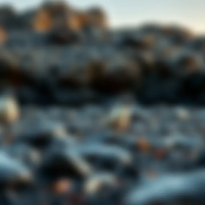 A stunning landscape showcasing the rocky shores and penguin nests in the sub-Antarctic region