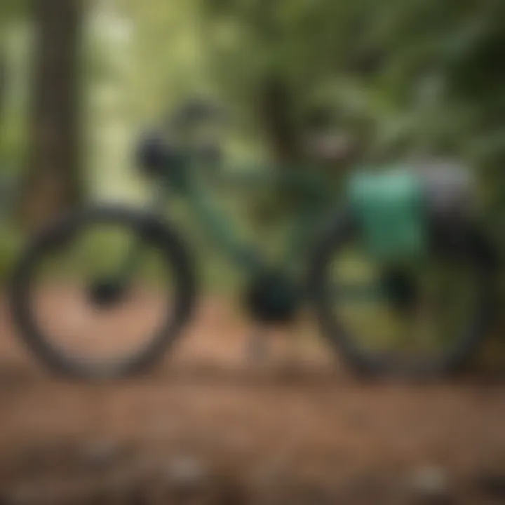 Graphic showcasing eco-friendly lifestyle choices such as biking and recycling