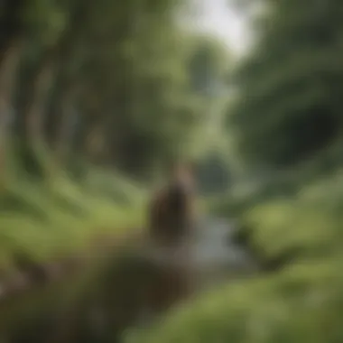 Emerald Isle's Lush Landscape Emerald Isle's Lush Landscape