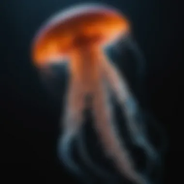 Enigmatic bioluminescent deep-sea jellyfish glowing in darkness