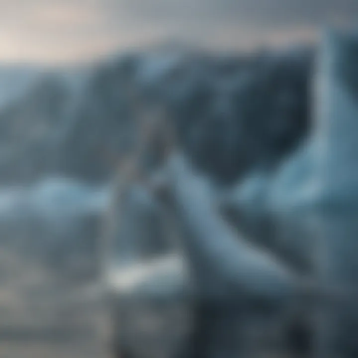 Narwhal Pod Gliding Through Icy Waters