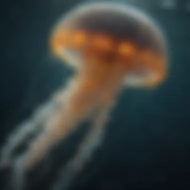 Ethereal Jellyfish Floating in Ocean Depths