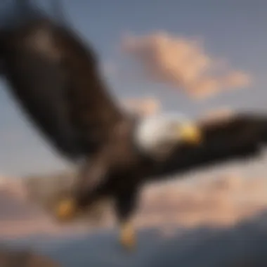 Sky Guardian: The Bald Eagle's Flight Illustration of a majestic bald eagle soaring in the sky