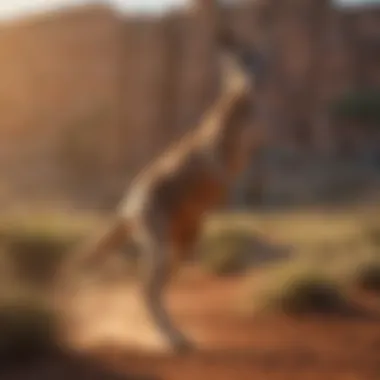 A vibrant kangaroo leaping across the Australian outback