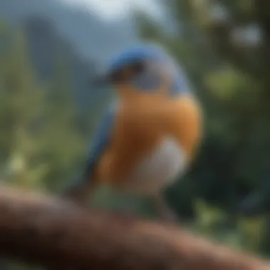 Initiatives aimed at protecting blue bird habitats Conservation efforts for blue bird habitats