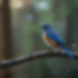 Vibrant blue bird perched on a branch