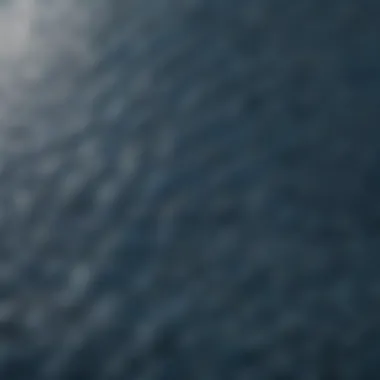 Close-up of a blue whale's textured skin showcasing its unique patterns.