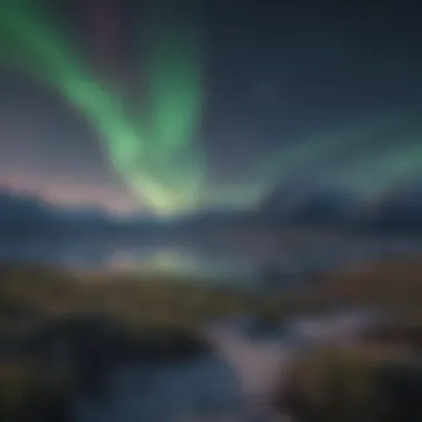 Northern Lights Dance over Yukon's Tundra