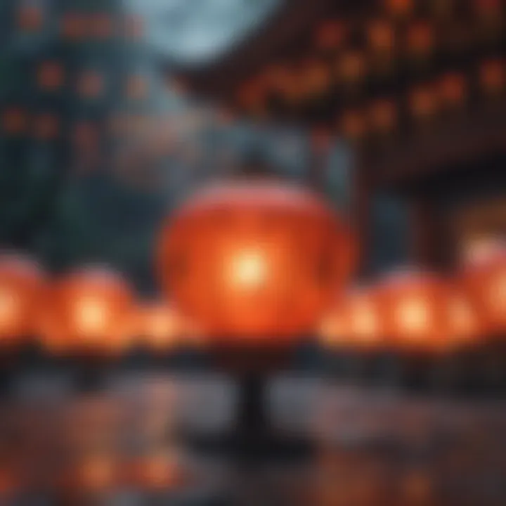 Exquisite Chinese Lanterns Illuminating the Night