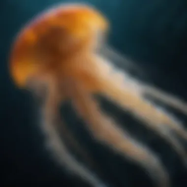 The Mesmerizing Glow of Jellyfish An enchanting jellyfish illuminating the dark ocean depths