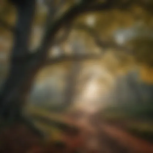 Majestic Canopy in Deciduous Forest