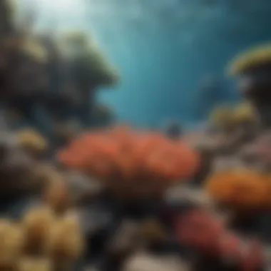 The Resilience and Vulnerability of Coral Reefs Vibrant Coral Reefs