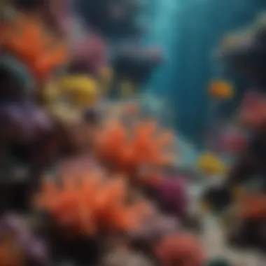 Colorful Coral Reef showcasing vibrant marine life