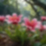 Vibrant Flora in Blossom