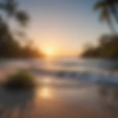 The Beauty of Florida's Coastal Environments Sunrise over a serene beach ecosystem