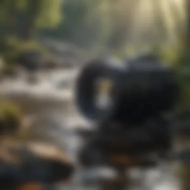 Innovative Water Filtration Design