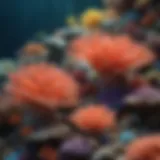 A vibrant coral reef showcasing diverse marine life