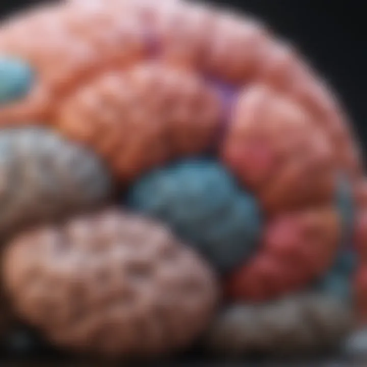 A colorful brain with highlighted areas indicating phobia triggers