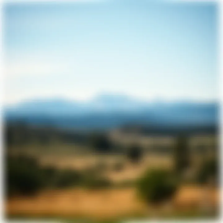 Diverse Landscapes of North America A picturesque view of the diverse landscapes encountered by Lewis and Clark, from mountains to plains.