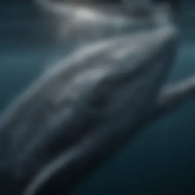Majestic Blue Whale emerging from the depths of the ocean