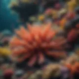 A vibrant coral reef teeming with colorful marine life
