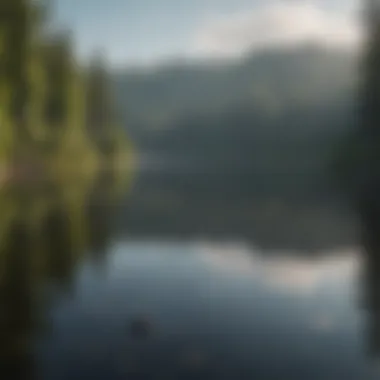 Tranquil Lake Reflecting Minnesota's Beauty