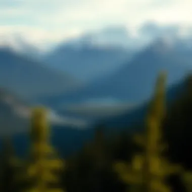 Breathtaking view of Glacier National Park showcasing majestic mountains and pristine lakes