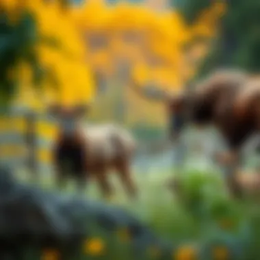 A vibrant scene depicting Montana's diverse wildlife in their natural habitat