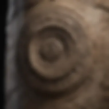 A close-up of traditional tribal symbols etched in stone