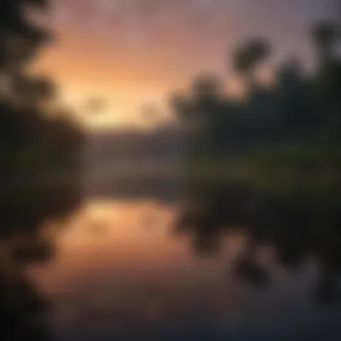 Sunset over Amazon Rainforest
