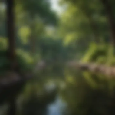 Lush Central Park landscape with a hidden oasis of wildlife