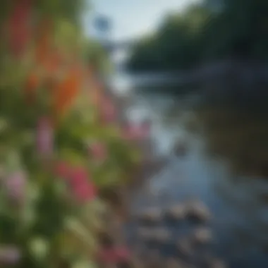 Vibrant Flora Blooming along Hudson River Banks