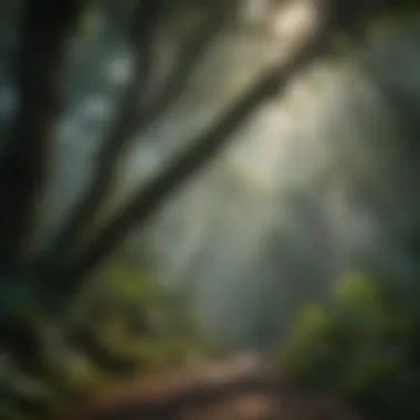 A majestic view of a rainforest canopy teeming with life.