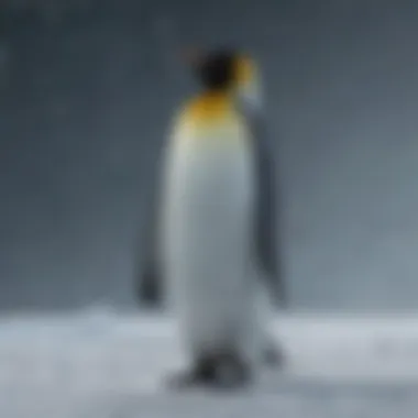 A majestic Emperor Penguin standing tall amidst a snowy backdrop