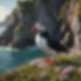 A colorful puffin perched on a cliff with a vivid ocean backdrop.