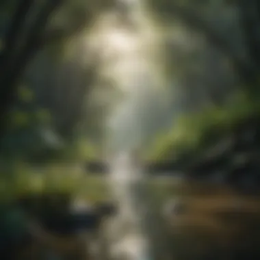 Rainforest river flowing through lush greenery