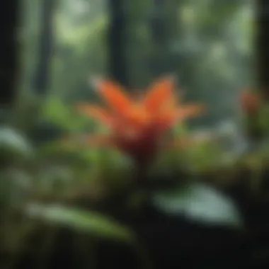 Close-up of diverse plant species found in a rainforest.