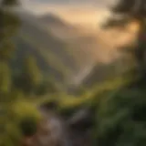 A breathtaking view of the Great Smoky Mountains at sunrise, showcasing mist-covered peaks and vibrant greenery.