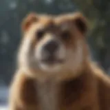 Exploring the Amusing World of Animal Imagery Introduction