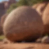 Ancient rock art depicting tribal life